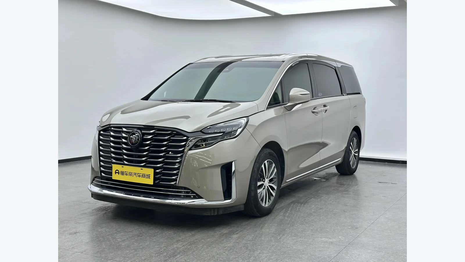 Used Buick GL8 Export from China