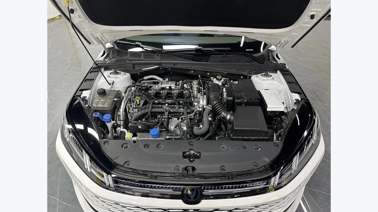 Used Changan Eado Photo 6 thumbnail