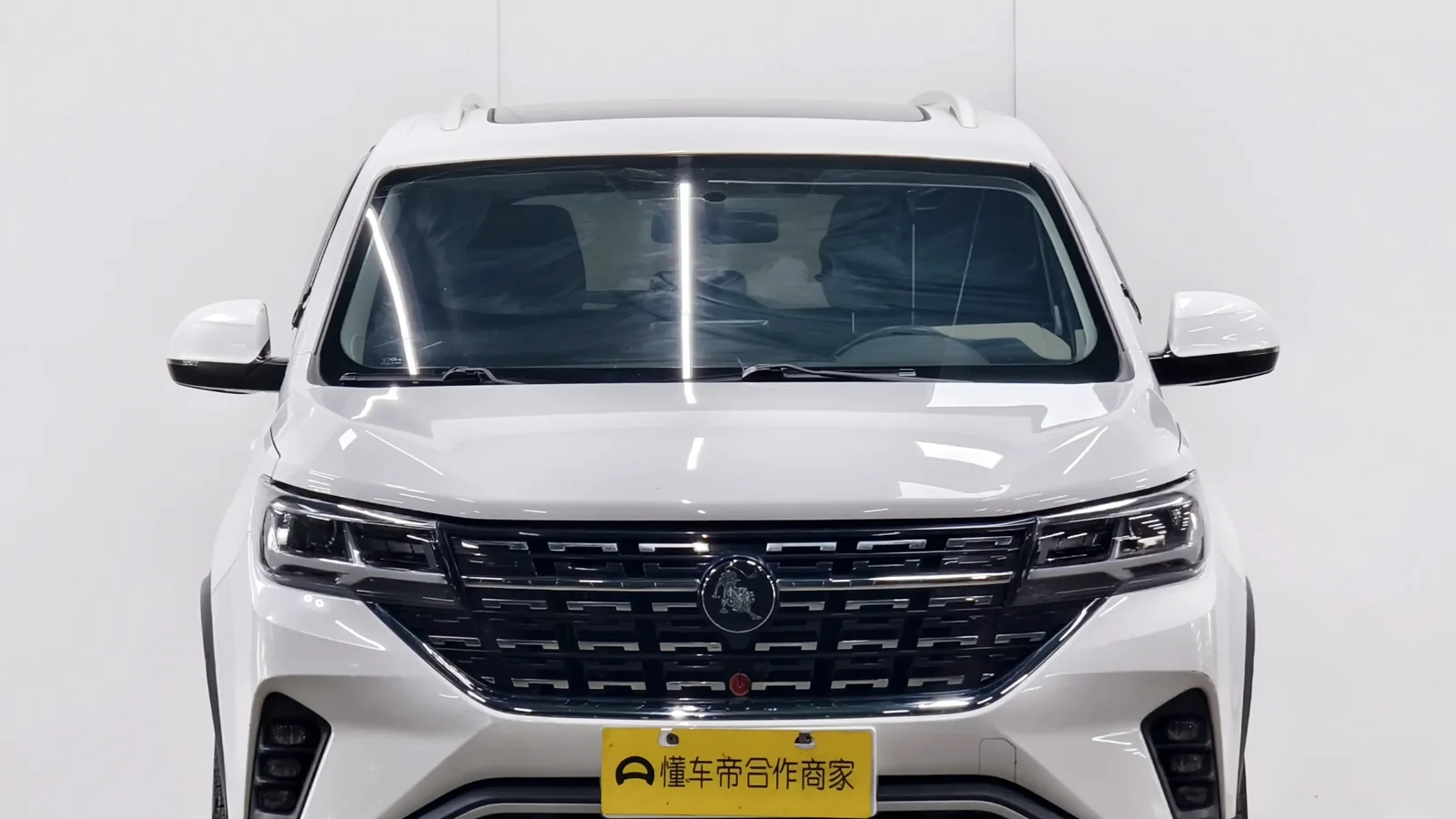 Used Dongfeng Fengxing T5 Side profile thumbnail
