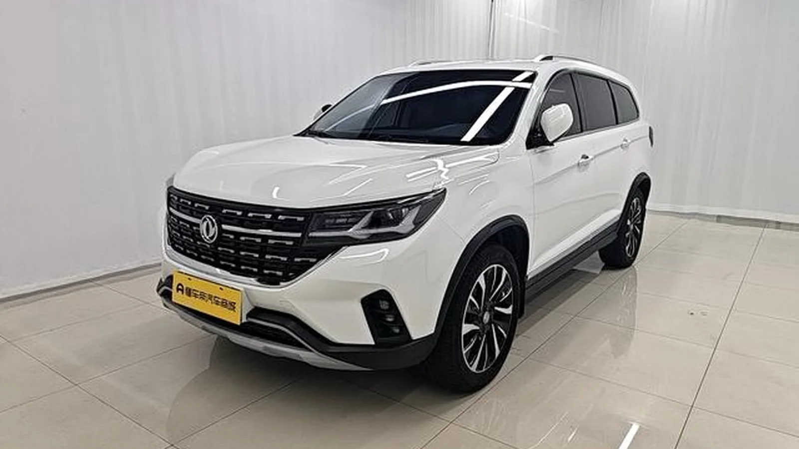Used Forthing T5 Export from China
